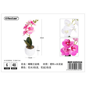 Кашпо з орхідеєю 33cm