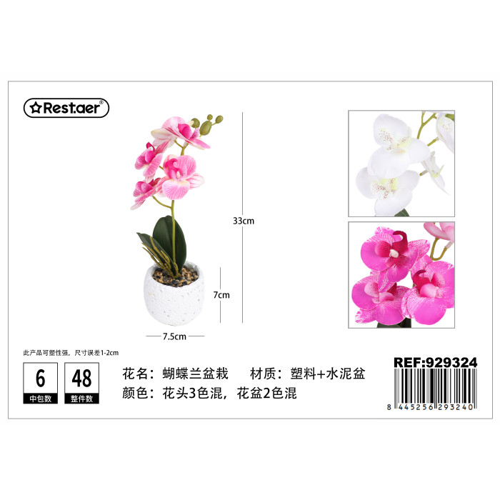 Кашпо з орхідеєю 33cm